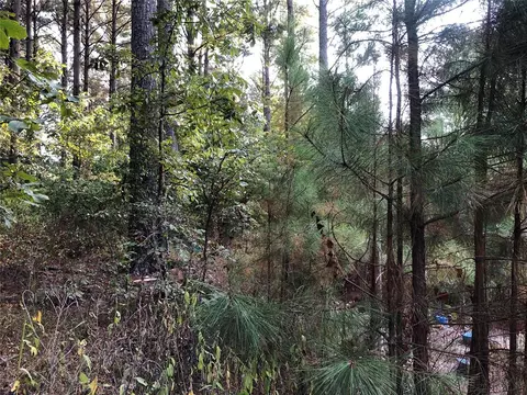 Dewberry Circle, Broken Bow, OK 74728 photo 3