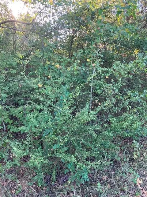 509 Clay St, Broken Bow, OK 74728 photo 4