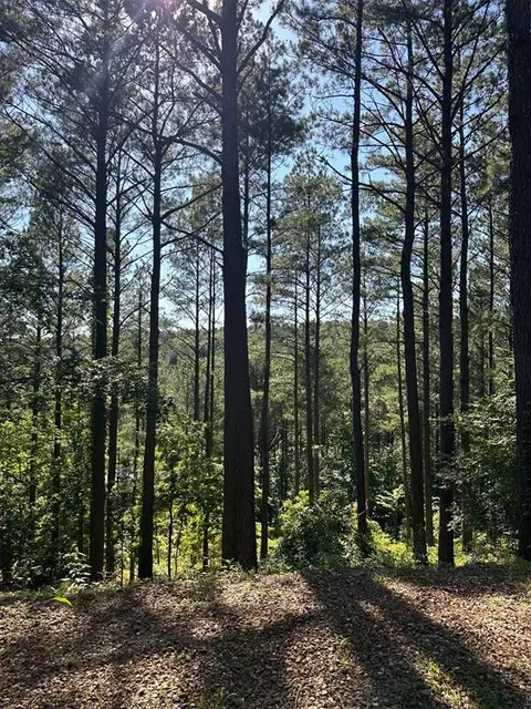 View/Area - 143 Gnarly Maple Trl, Broken Bow, OK 74728 photo 1 of 2