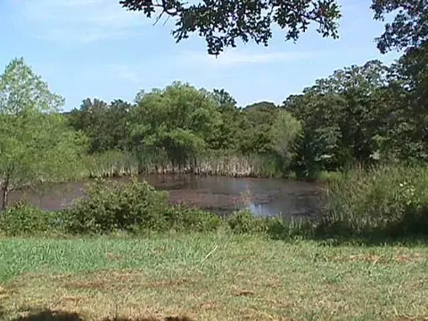 12950 E Tecumseh, Norman, OK 73026 photo 3