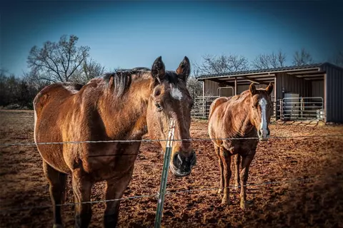 309 S Cemetery Rd, Tuttle, OK 73089 photo 8