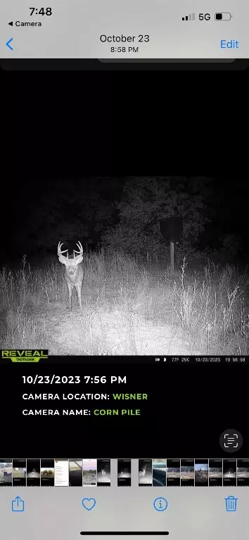 SW Quanah Road, Cache, OK 73527 photo 21