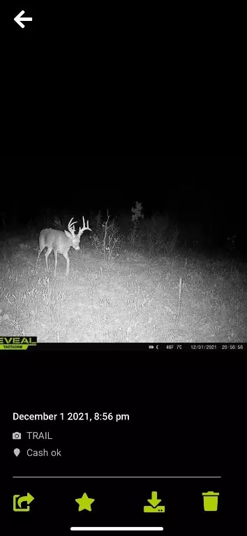SW Quanah Road, Cache, OK 73527 photo 27
