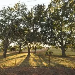 339952 E 980 Rd, Chandler, OK 74834 photo 7