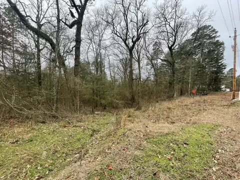 lot3 And 6 Octavia Rd, Smithville, OK 74957