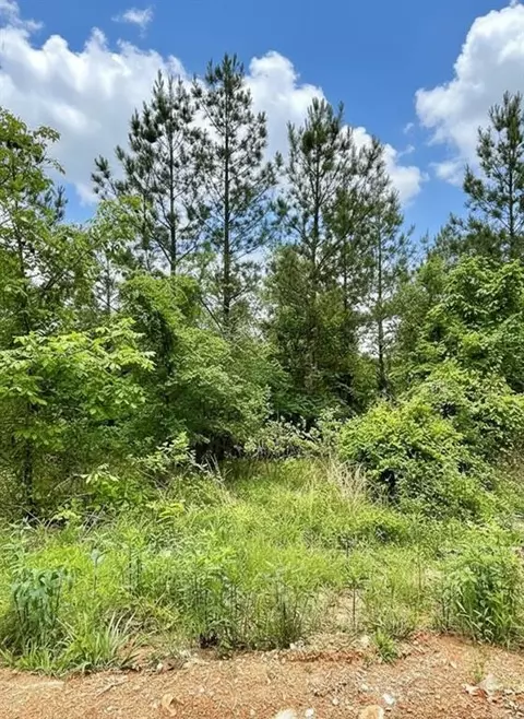 658 Timber Creek Trails South Xi, Broken Bow, OK 74728