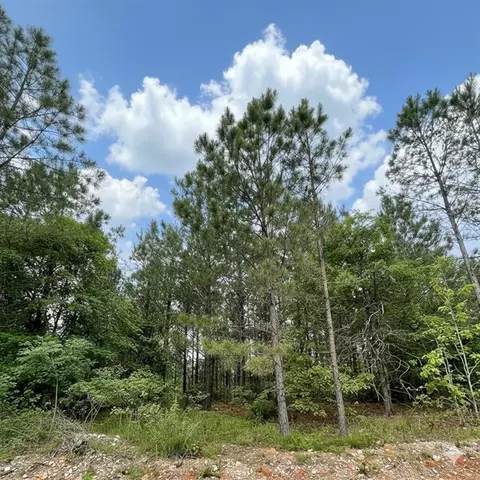 671 Timber Creek Trails South Xi, Broken Bow, OK 74728