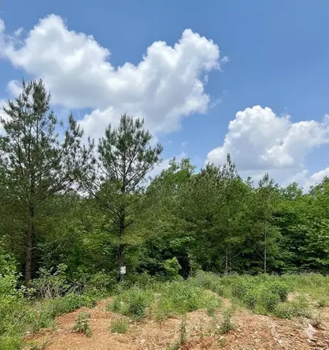 656 Timber Creek Trails South Xi, Broken Bow, OK 74728