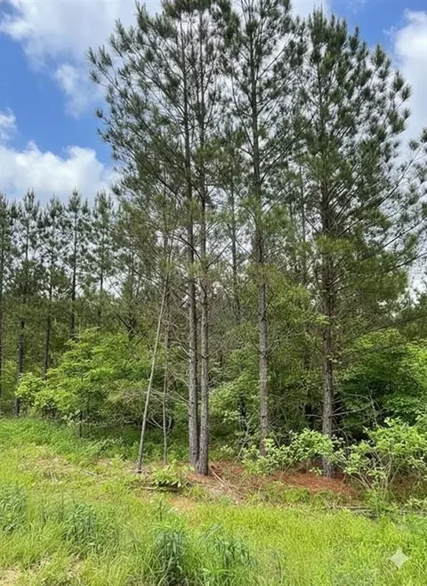 663 Timber Creek Trails South Xi, Broken Bow, OK 74728