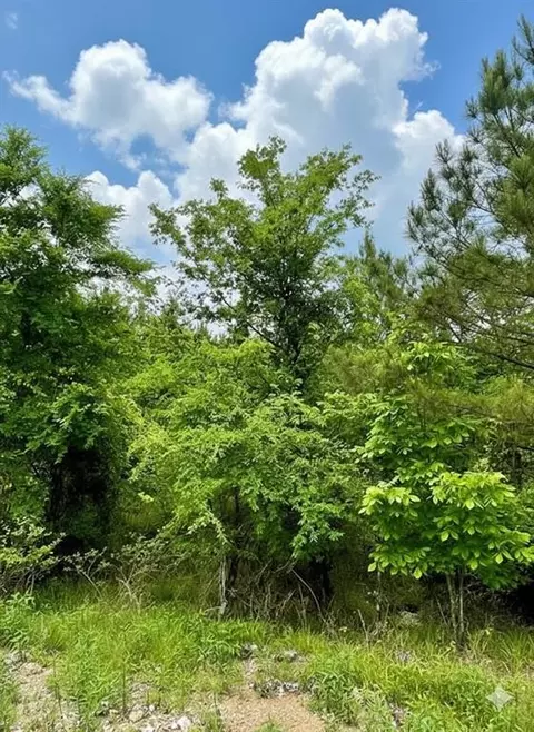 665 Timber Creek Trails South Xi, Broken Bow, OK 74728