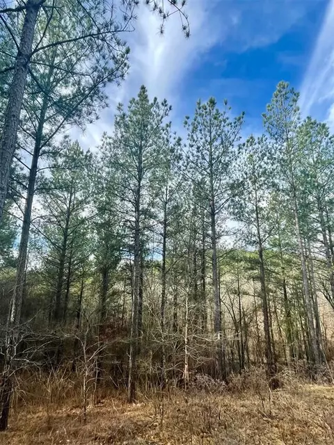 707 Timber Creek Trails South Xi, Broken Bow, OK 74728