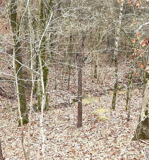 708 Timber Creek Trails South Xi, Broken Bow, OK 74728