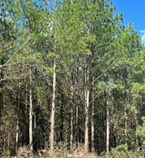 709 Timber Creek Trails South Xi, Broken Bow, OK 74728