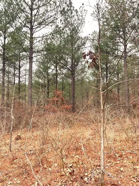 713 Timber Creek Trails South Xi, Broken Bow, OK 74728