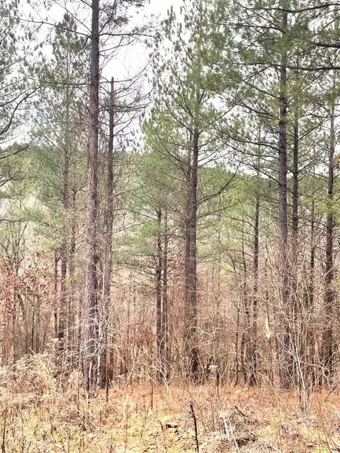 715 Timber Creek Trails South Xi, Broken Bow, OK 74728
