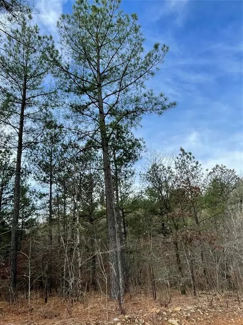 721 Timber Creek Trails South Xi, Broken Bow, OK 74728