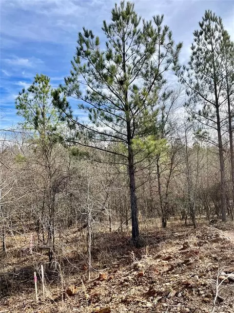 724 Timber Creek Trails South Xi, Broken Bow, OK 74728