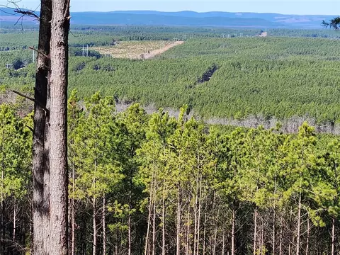 Timberline Trail, Broken Bow, OK 74728 photo 14