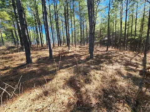 Timberline Trail, Broken Bow, OK 74728 photo 5