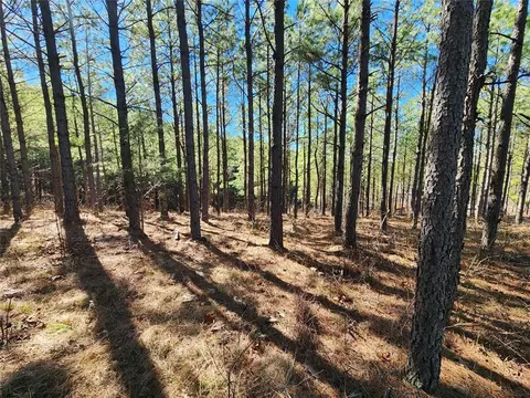 Timberline Trail, Broken Bow, OK 74728 photo 3