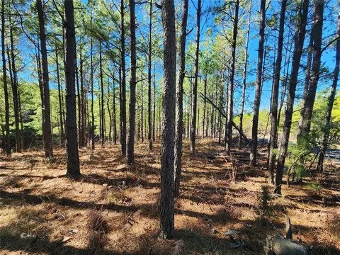 Timberline Trail, Broken Bow, OK 74728 photo 4