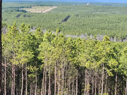 Timberline Trail, Broken Bow, OK 74728 photo 15