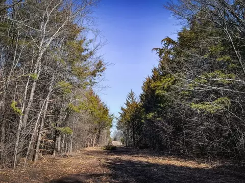 Locust Road, Mill Creek, OK 74856