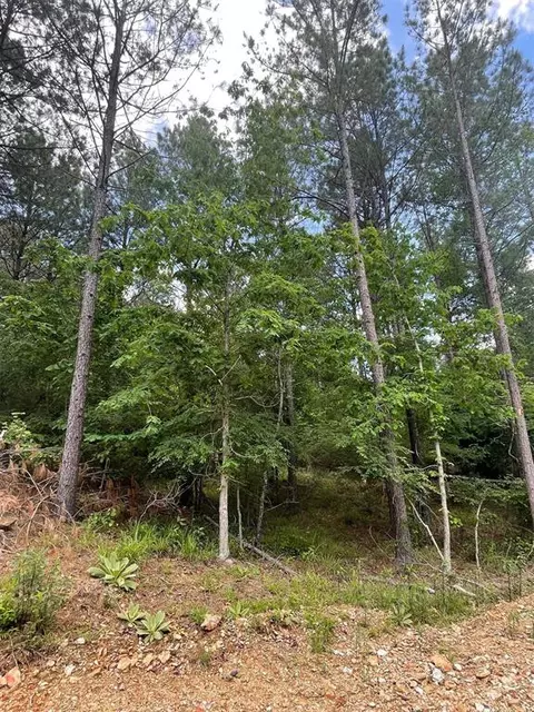 734 Timber Creek Trails South Xi, Broken Bow, OK 74728