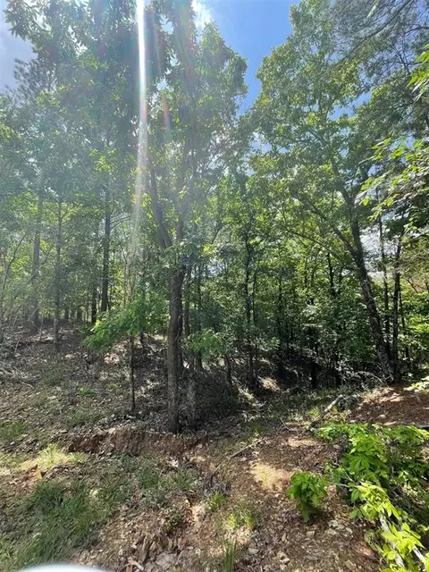 736 Timber Creek Trails South Xi, Broken Bow, OK 74728