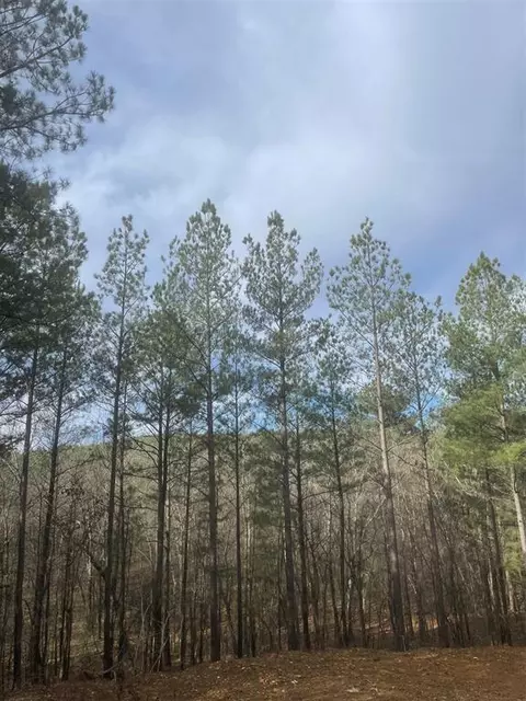 738 Timber Creek Trails South Xi, Broken Bow, OK 74728