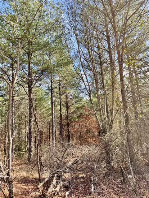 766 Timber Creek Trails South Xi, Broken Bow, OK 71842