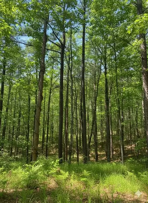 778 Timber Creek Trail South Xi, Broken Bow, OK 74728