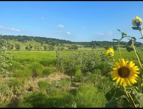 177 Highway Hwy, Wellston, OK 74881