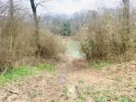 0 Eagle Fork Rd, Smithville, OK 74957 photo 6