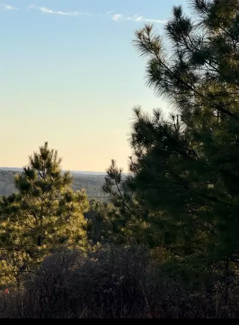 181 Chasing Stella Ln, Broken Bow, OK 74728