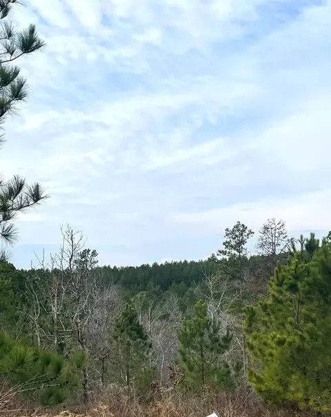149 Chasing Stella Ln, Broken Bow, OK 74728 photo 4