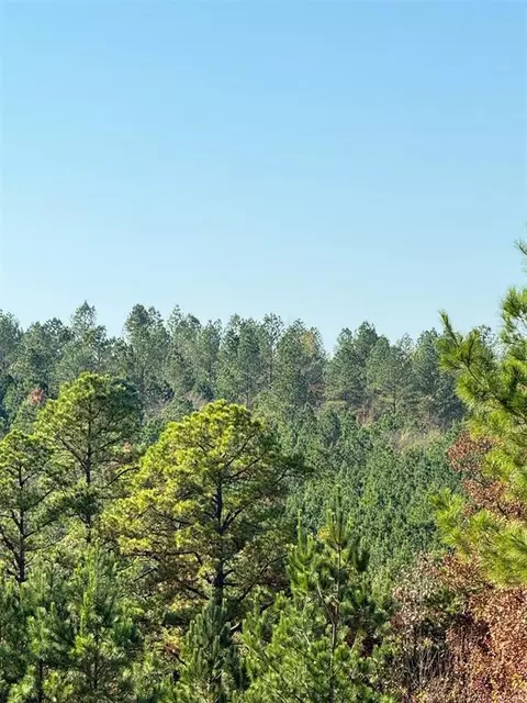 21 Charmed Ridge Ln, Broken Bow, OK 74728