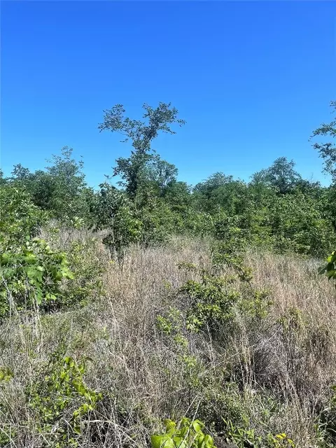 horned owl road, Valliant, OK 74764