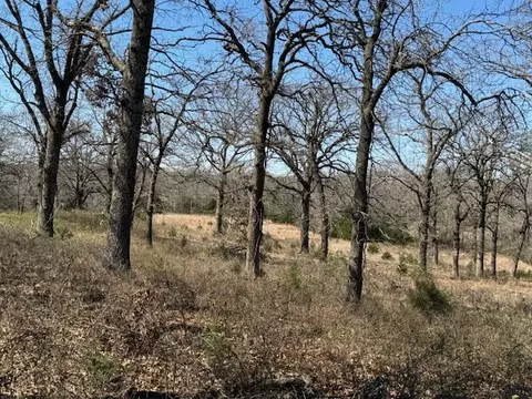 Willow View Road, Tecumseh, OK 74873 photo 6