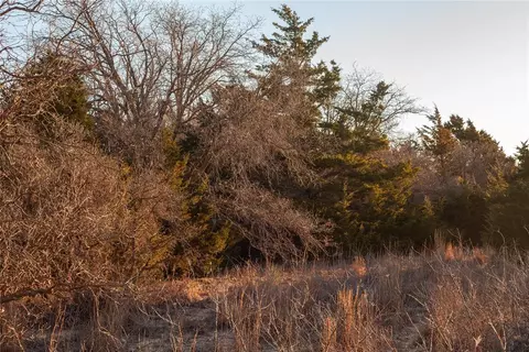 Undisclosed, Erick, OK 73645 photo 9