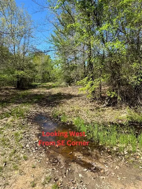 20 31 Acres, Soper, OK 74759 photo 19