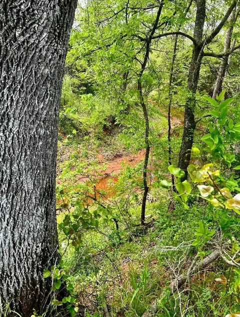 Harrison Road, Tecumseh, OK 74873 photo 2