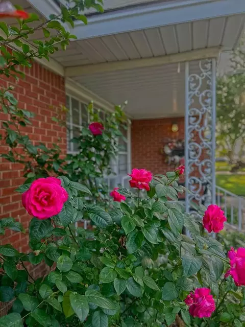 38 E 13th St, Edmond, OK 73034 photo 34