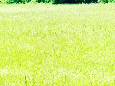 E Highway 39, Asher, OK 74826 photo 27