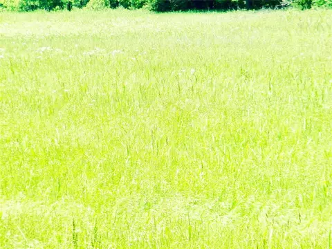 E Highway 39, Asher, OK 74826 photo 27