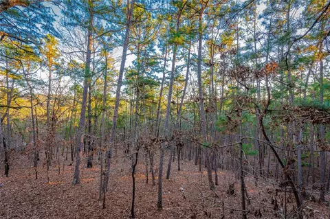 394 Choate Rd, Broken Bow, OK 74728 photo 28
