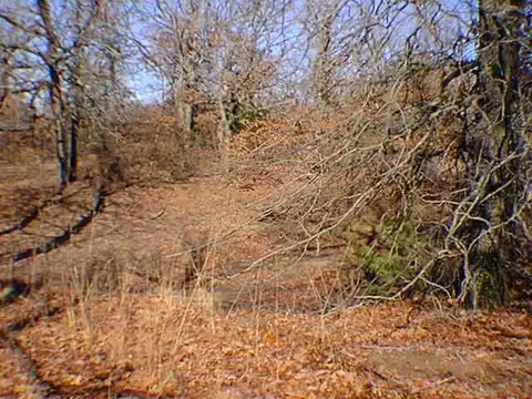 14401 E Cedar Ln, Norman, OK 73026 photo 3