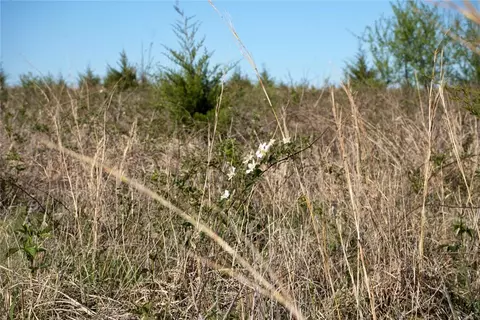 0001 E 760 Rd #A, Cushing, OK 74023 photo 32