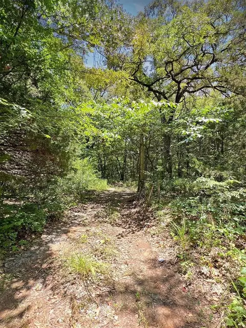 767 River Rd, Colbert, OK 74733 photo 3