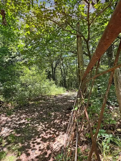 767 River Rd, Colbert, OK 74733 photo 2